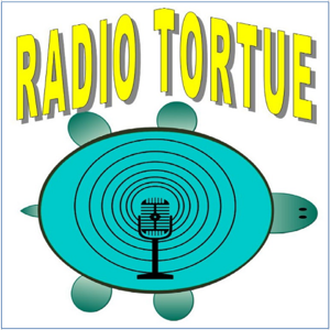 RADIO TORTUE