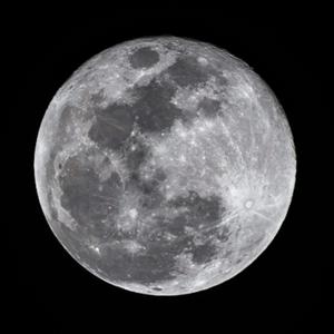 Ghouls of the Paranormal