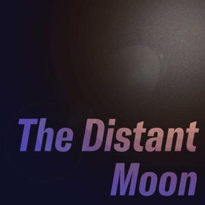 The Distant Moon: Stories of Healthcare Education