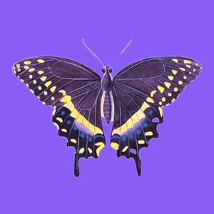 Digital Futures Told