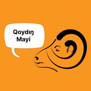 Qoydin mayi