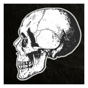 Home of the Skull💀