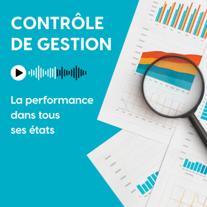 Contrôle de gestion. La performance dans tous ses états