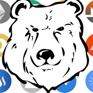 Urso das Criptos