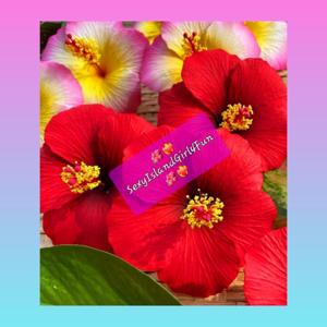 SexyIslandgirl 4Fun🌺❤️‍🔥's Podcast