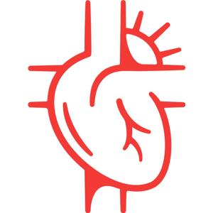 New Heart Theology