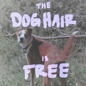 The Dog Hair is Free