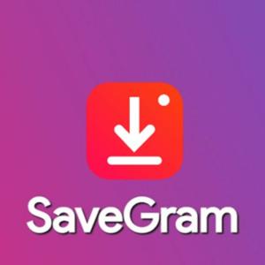 SaveGram.Info Instagram Downloader - All Features