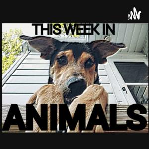 This Week In Animals