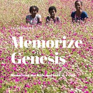 Memorize Genesis