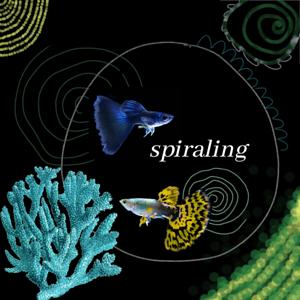 spiraling -by isa and miri
