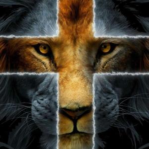 Jovenes Cristo Vive 1.0