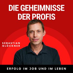 Die Geheimnisse der Profis - Erfolg im Job und im Leben