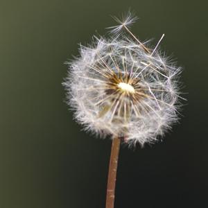 Radio info Bilbao Juankar