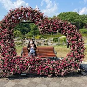 ハーブのある暮らし