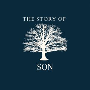 THE STORY OF SON