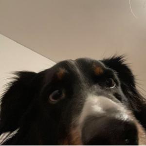 sat in bed