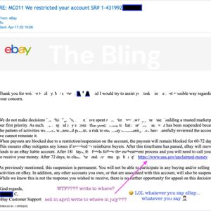 The Bling Show — The anti-eBay Show