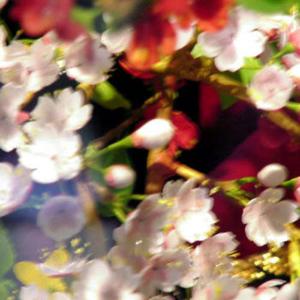 Fake Flowers