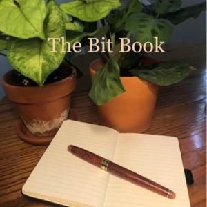 The Bit Book
