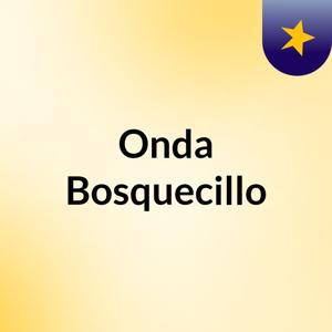 Onda Bosquecillo