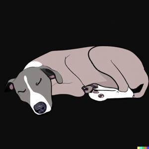 睡前小故事