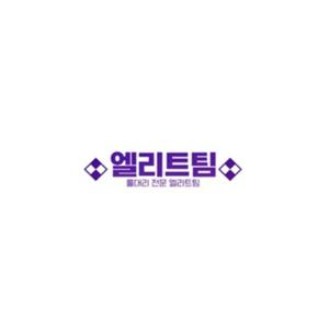엘리트팀
