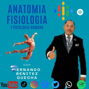 ANATOMIA, FISIOLOGIA Y PATOLOGIA HUMANA