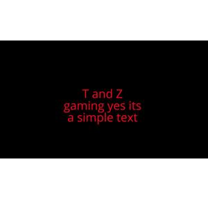 T and Z gaming Nerd Cartel Inc.