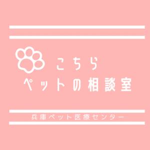 こちらペット相談室　兵庫ペット医療センター