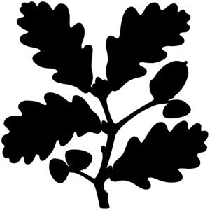 National Trust - London & South East