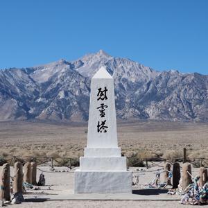 Nikkei: The Lives that Stood Still