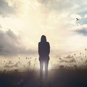 Meditation Talks