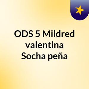 ODS 5 Mildred valentina Socha peña