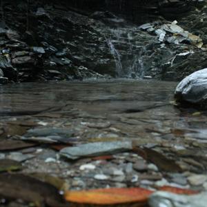 Sounds from Himalaya