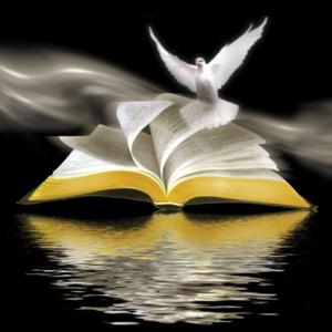 Renewed Spirit