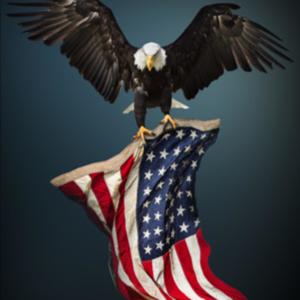 A Great Day For Freedom