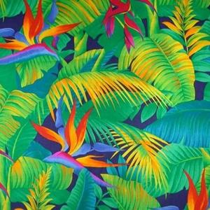 Ecoutes au vert (EAV) / Music for Indoors (MFI)