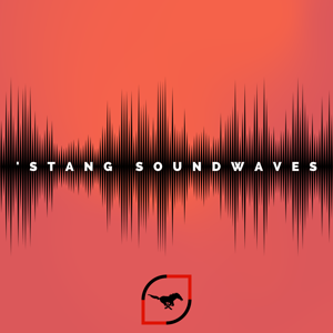 'Stang Soundwaves