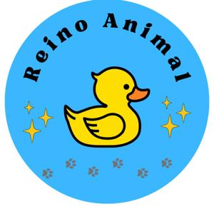 Reino Animal