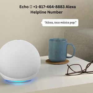 Alexa Customer Service Number +1:817:464:8883 Alexa Helpline
