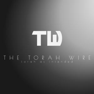 Understanding Parenting by Torah Wire