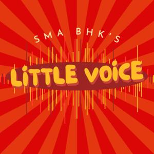 LITTLE VOICE