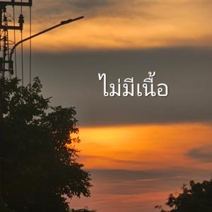 ไม่มีเนื้อ