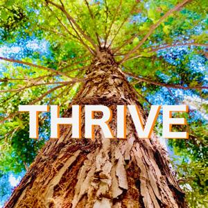 Thrive Bible Study Class