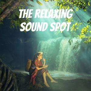 The Relaxing Sound Spot
