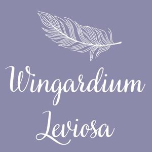 Wingardium Leviosa - Harry Potter Podcast von Julia und Sophie