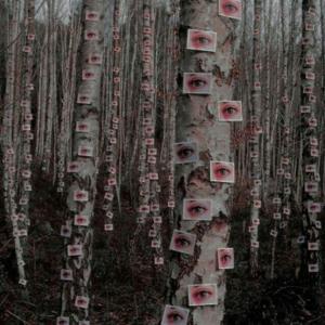 songs that are not on spotify