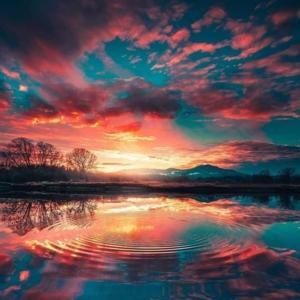 Morning glory by Michael Ogumbe