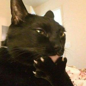 songs i want on spotify
